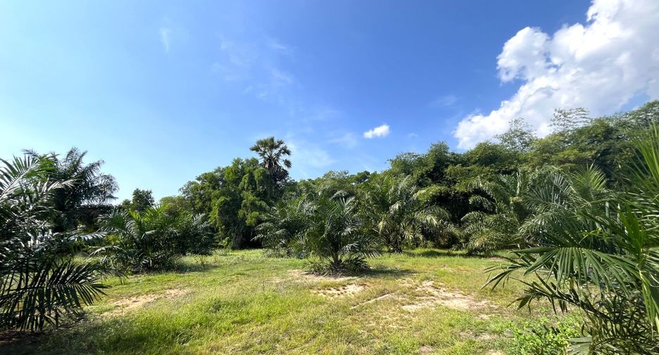 出售 土地 在 Thai Mueang, Phangnga