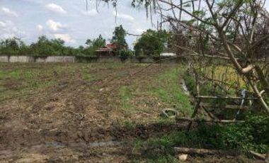 Terreno en venta en Hang Dong, Chiang Mai