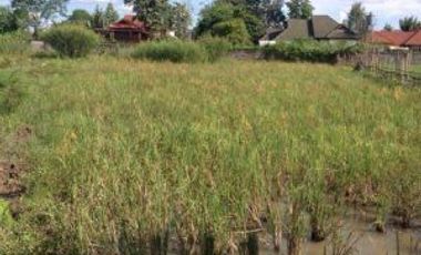 Terreno en venta en Hang Dong, Chiang Mai
