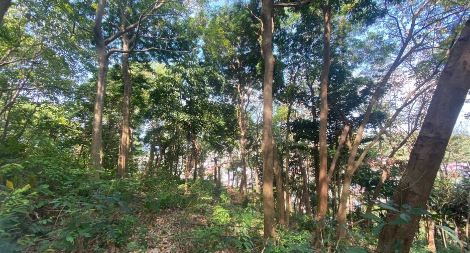 À vendre terrain à Mueang Phuket, Phuket