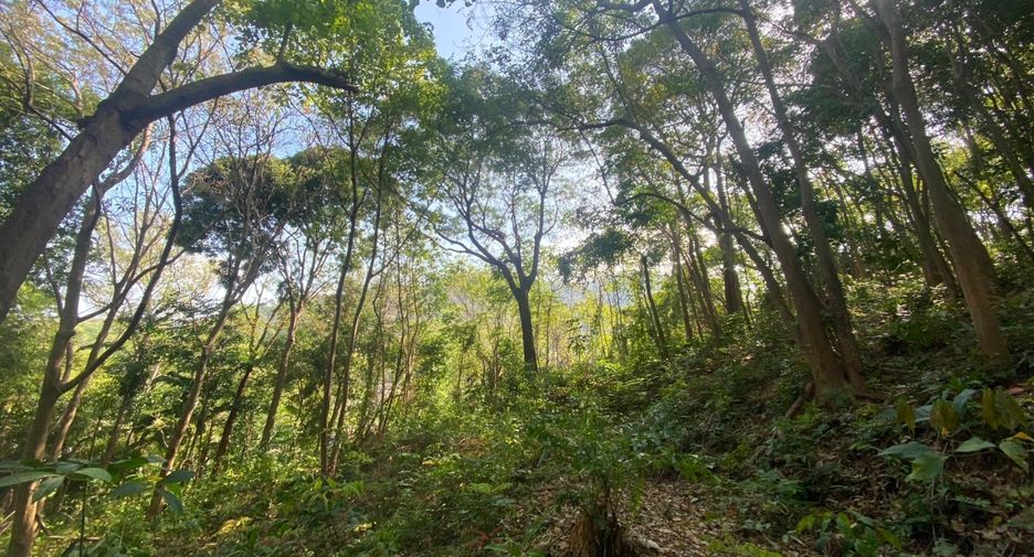 À vendre terrain à Mueang Phuket, Phuket