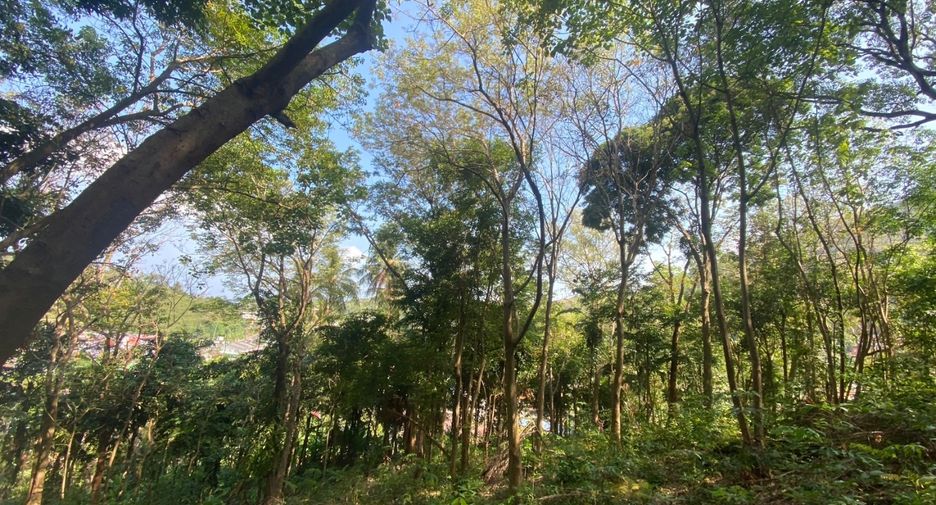 À vendre terrain à Mueang Phuket, Phuket
