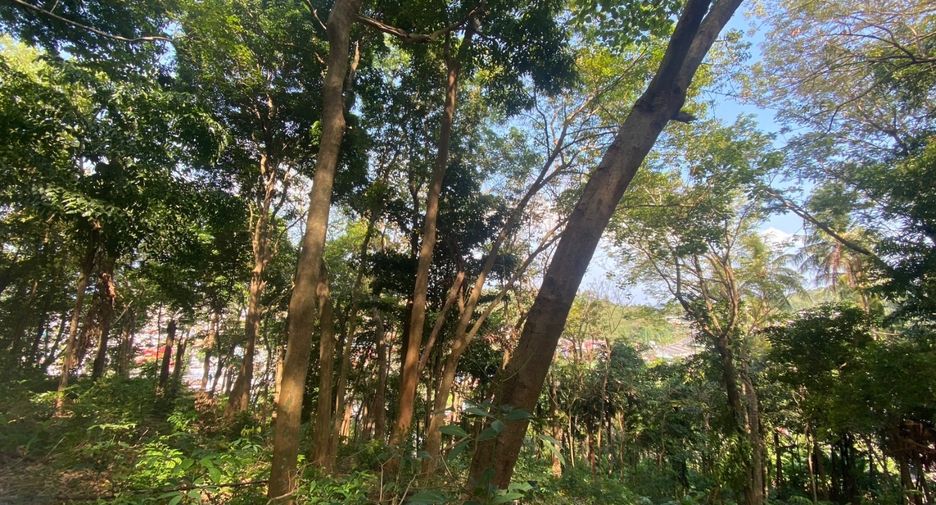 À vendre terrain à Mueang Phuket, Phuket