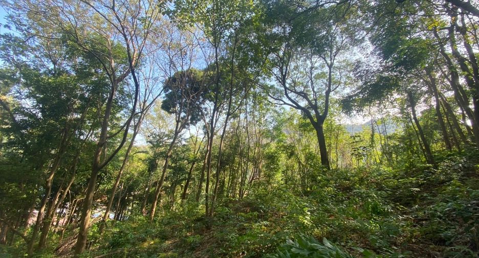 À vendre terrain à Mueang Phuket, Phuket