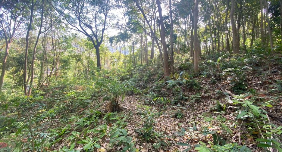À vendre terrain à Mueang Phuket, Phuket