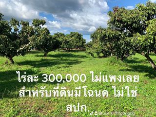 ขาย ที่ดิน ใน เชียงคำ, พะเยา