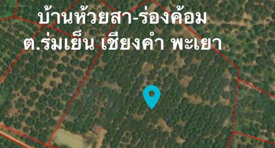 For sale land in Chiang Kham, Phayao