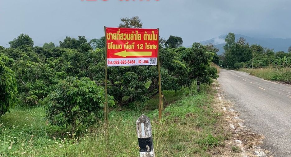 For sale land in Chiang Kham, Phayao