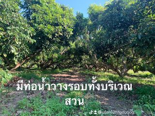 ขาย ที่ดิน ใน เชียงคำ, พะเยา
