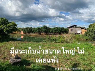 ขาย ที่ดิน ใน เชียงคำ, พะเยา