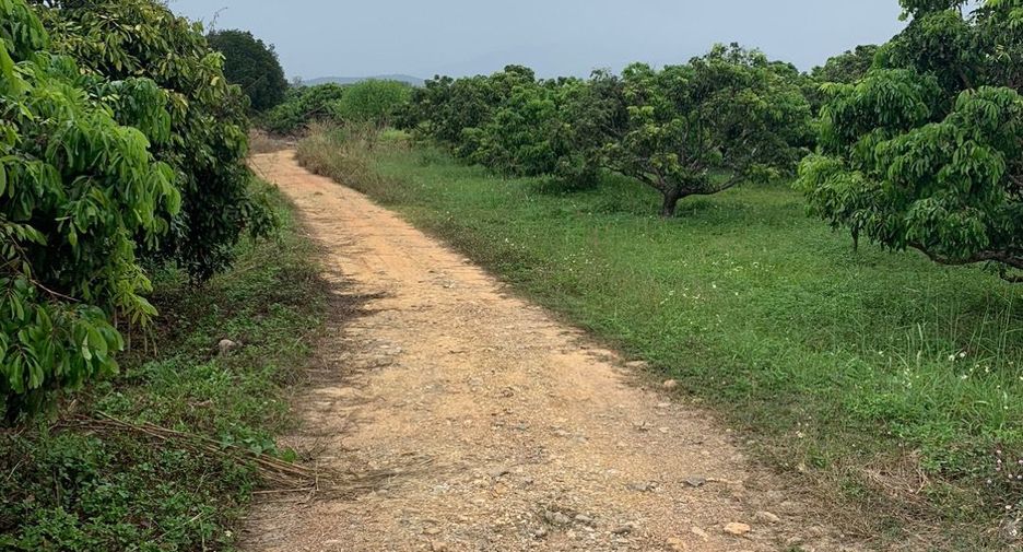 For sale land in Chiang Kham, Phayao