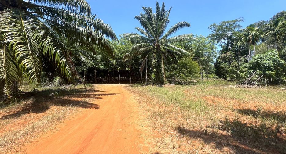 À vendre terrain à Mueang Krabi, Krabi
