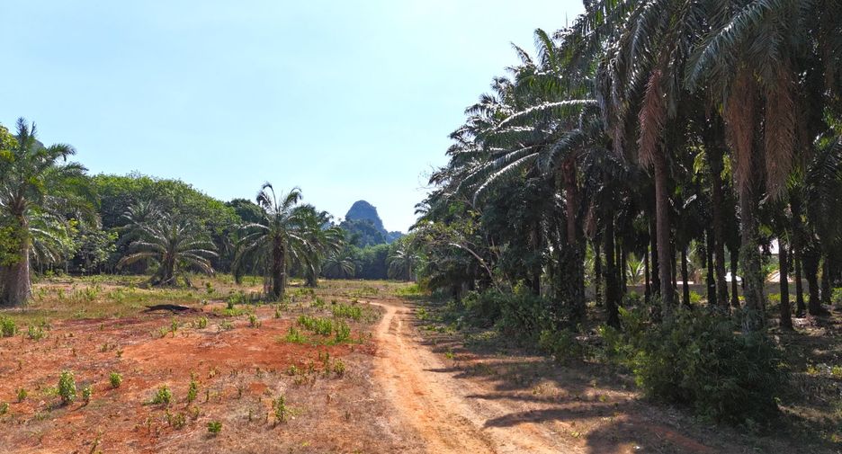 À vendre terrain à Mueang Krabi, Krabi