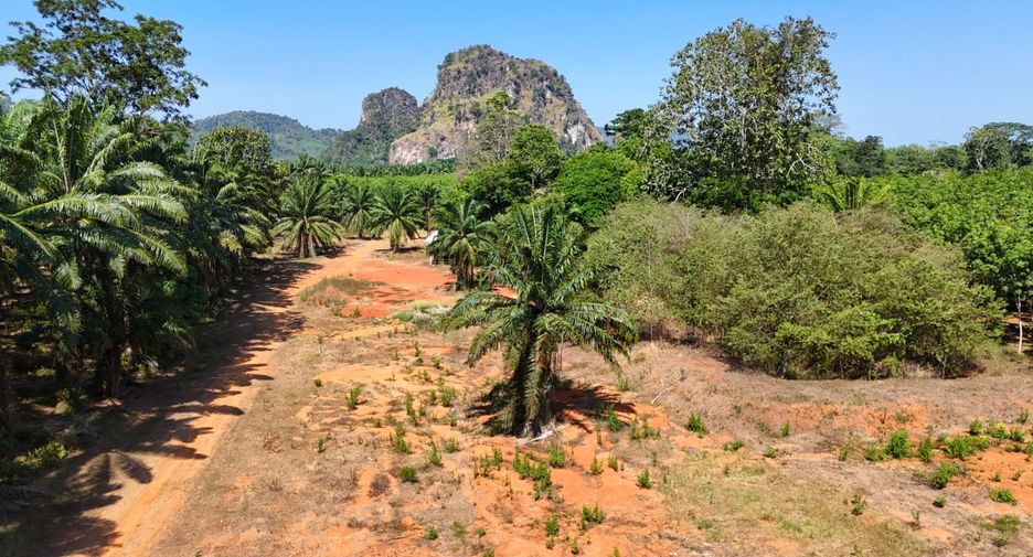 À vendre terrain à Mueang Krabi, Krabi