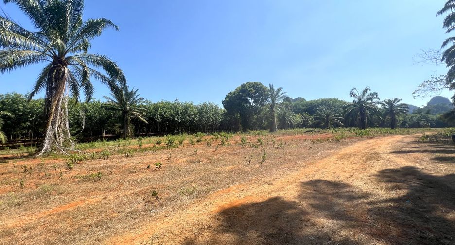 À vendre terrain à Mueang Krabi, Krabi