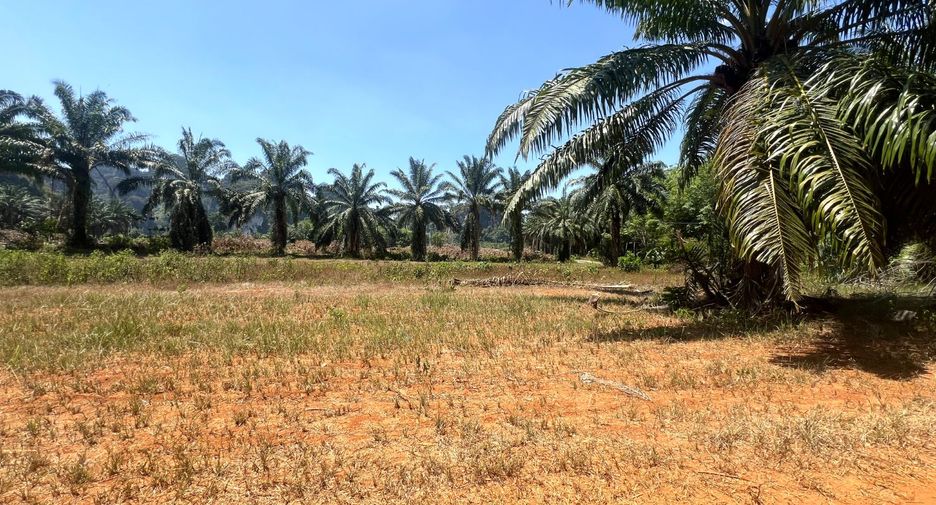 À vendre terrain à Mueang Krabi, Krabi