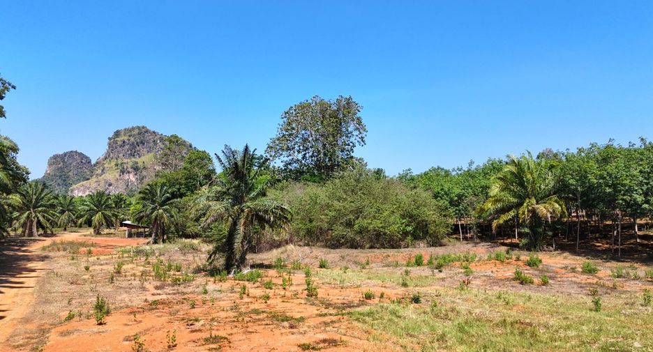 À vendre terrain à Mueang Krabi, Krabi