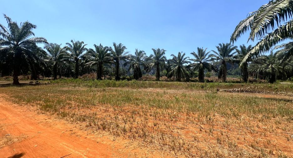 À vendre terrain à Mueang Krabi, Krabi