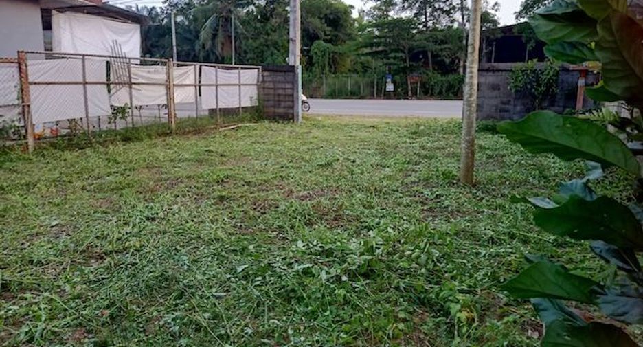 For sale land in Thung Tako, Chumphon
