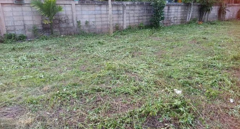For sale land in Thung Tako, Chumphon