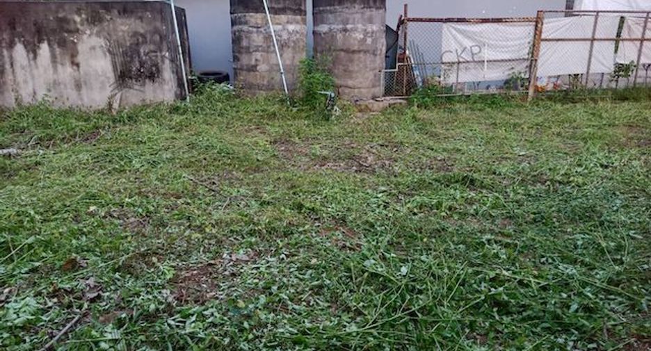 For sale land in Thung Tako, Chumphon