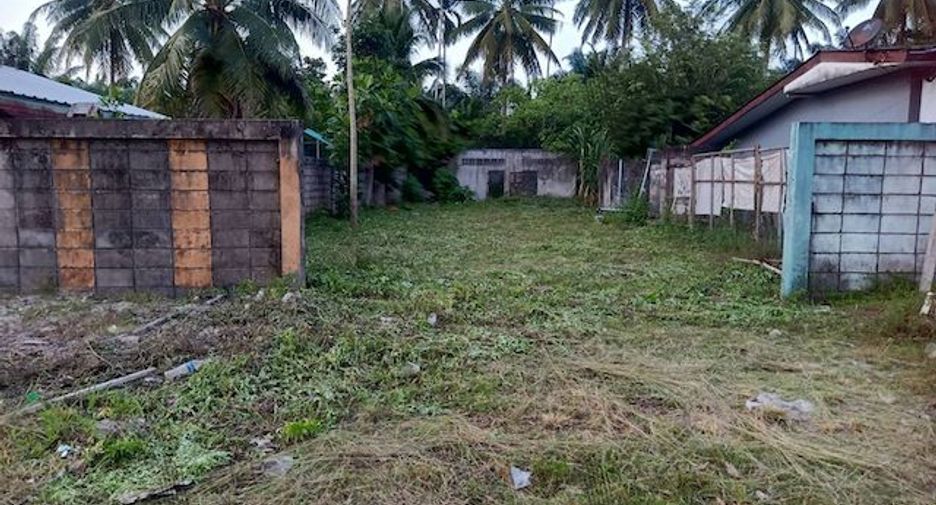 For sale land in Thung Tako, Chumphon