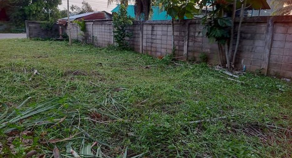 For sale land in Thung Tako, Chumphon
