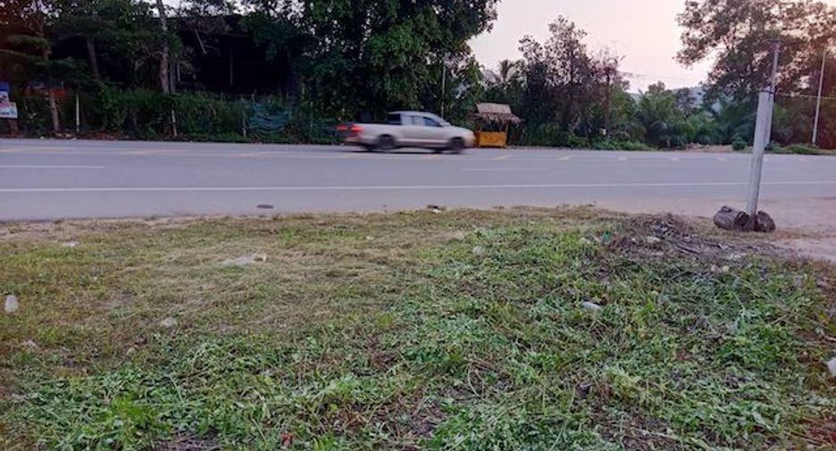 For sale land in Thung Tako, Chumphon