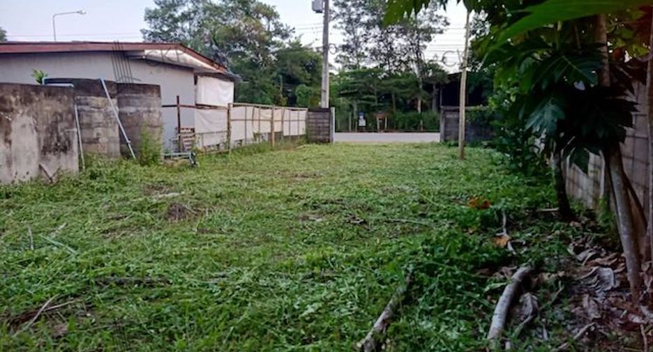 For sale land in Thung Tako, Chumphon