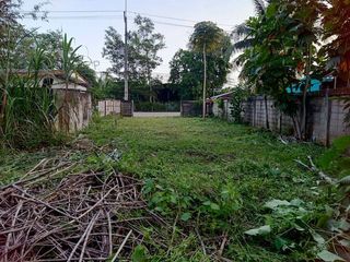 For sale land in Thung Tako, Chumphon