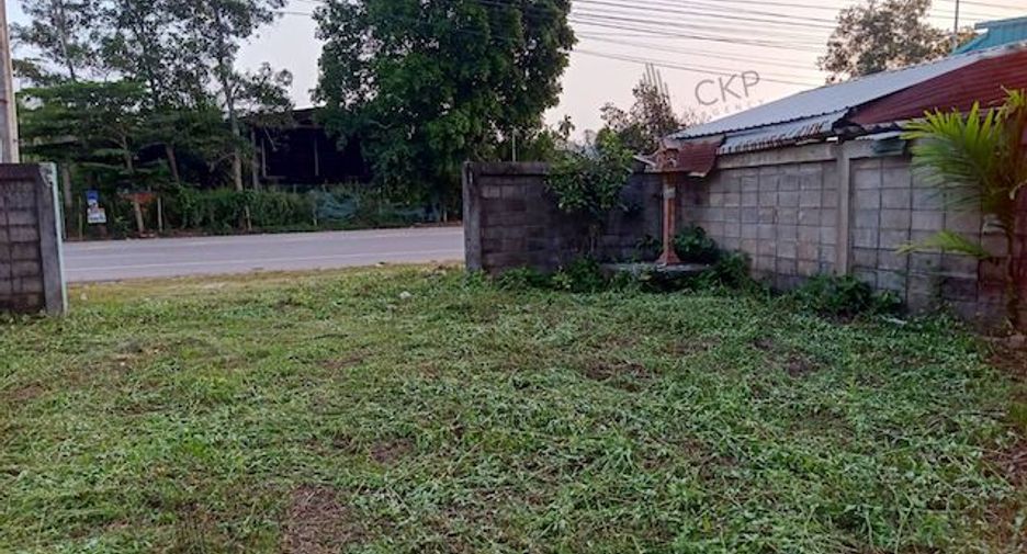 For sale land in Thung Tako, Chumphon