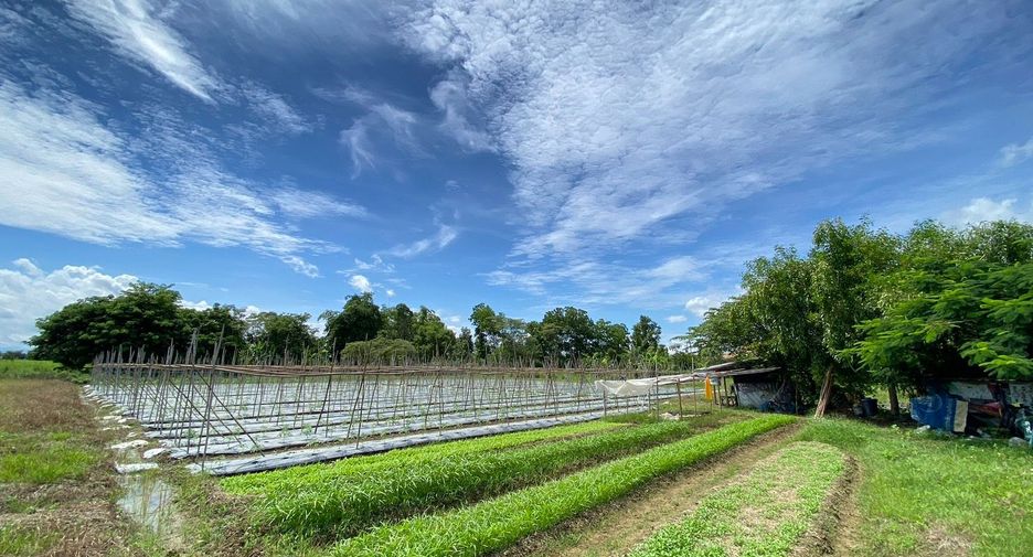 出售 土地 在 Doi Saket, Chiang Mai