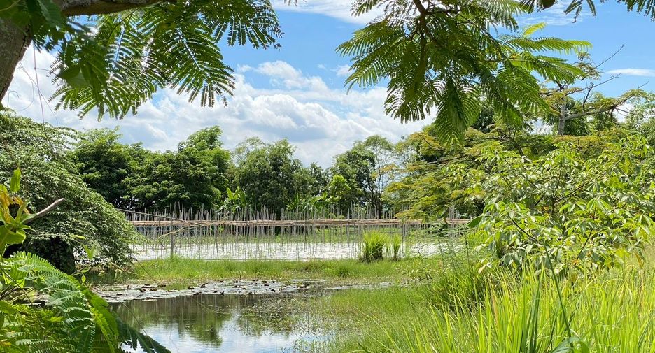 出售 土地 在 Doi Saket, Chiang Mai