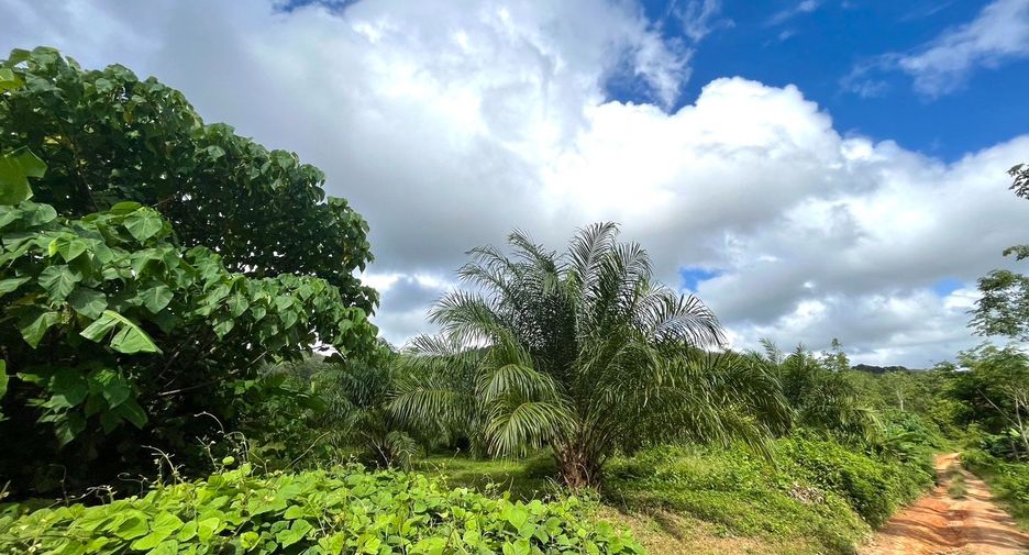 For sale land in Takua Thung, Phang Nga