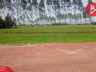 ขาย ที่ดิน ใน ศรีมหาโพธิ, ปราจีนบุรี