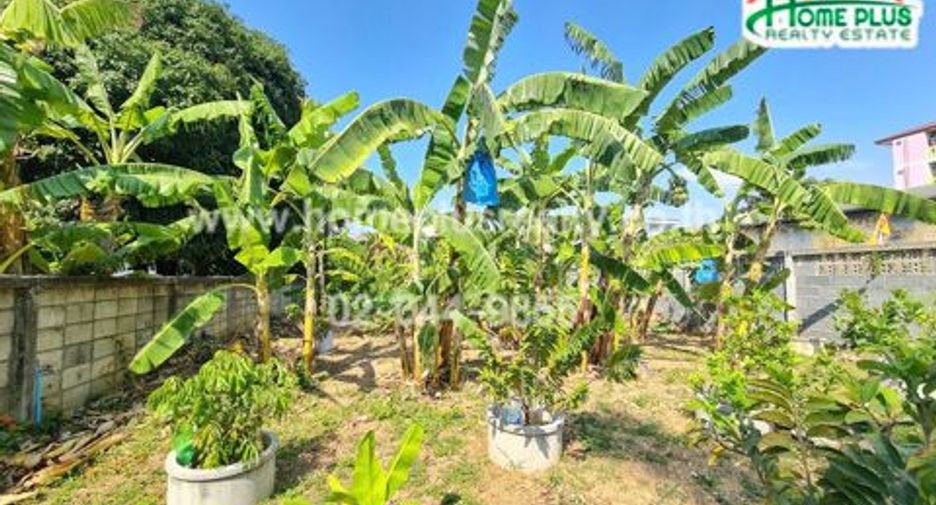For sale land in Mueang Chon Buri, Chonburi