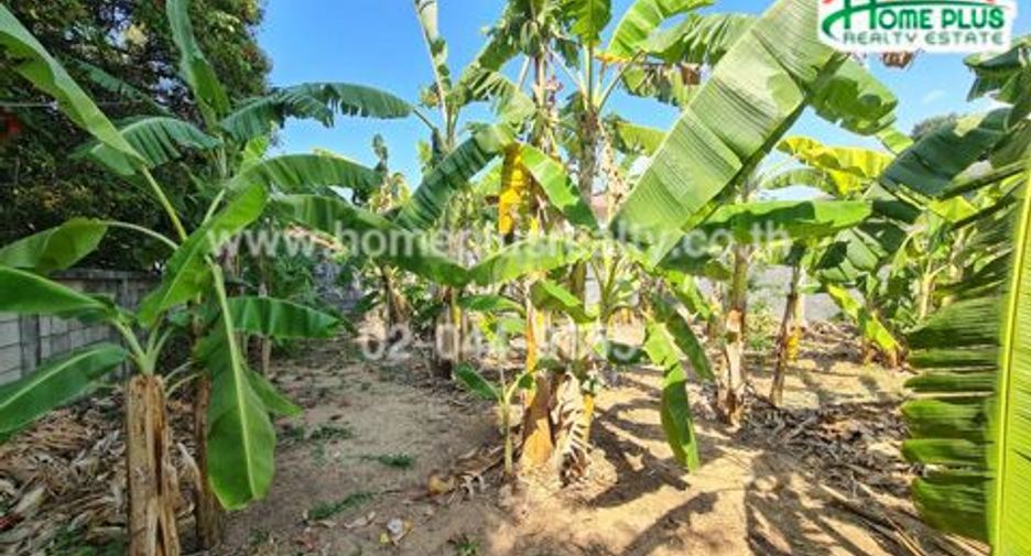 For sale land in Mueang Chon Buri, Chonburi