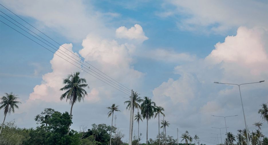 出售 土地 在 Takua Thung, Phangnga