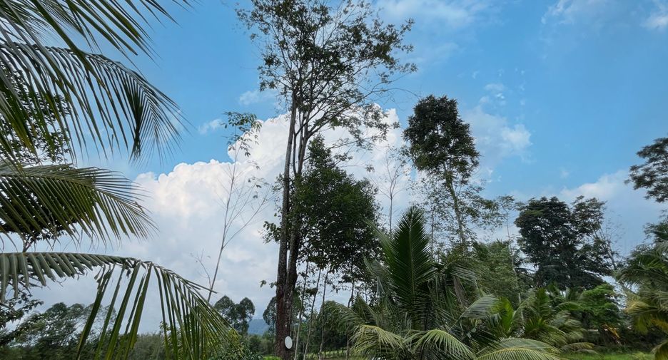 出售 土地 在 Takua Thung, Phangnga