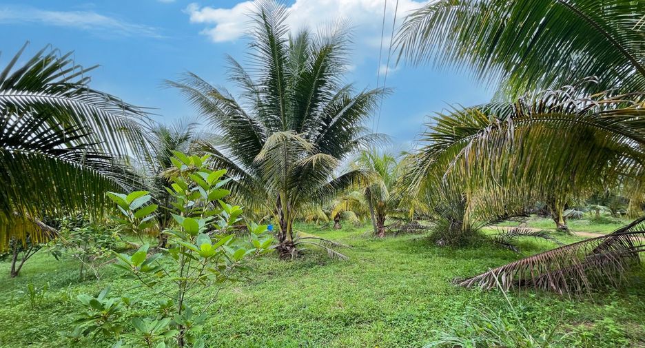 出售 土地 在 Takua Thung, Phangnga
