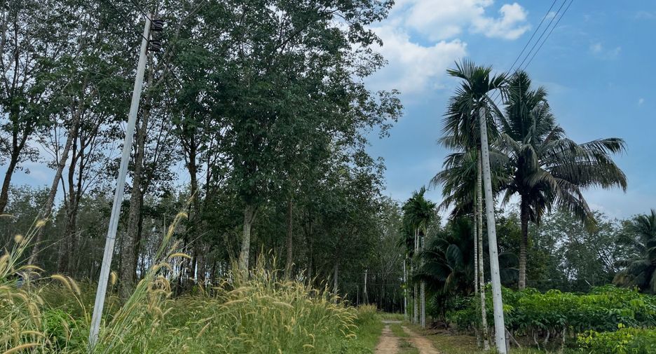 出售 土地 在 Takua Thung, Phangnga