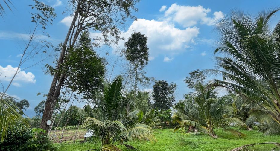 出售 土地 在 Takua Thung, Phangnga