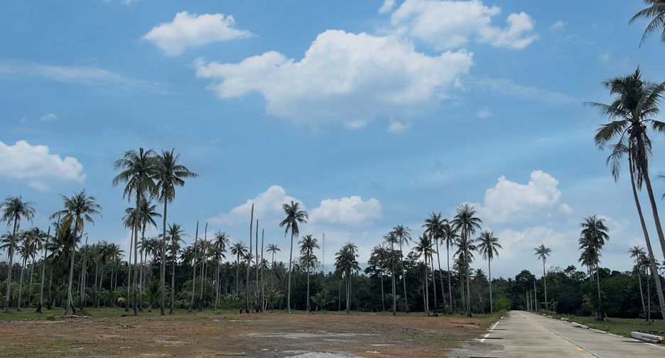 出售 土地 在 Takua Thung, Phangnga