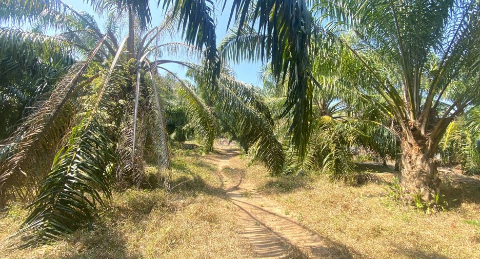 À vendre terrain à Mueang Phuket, Phuket