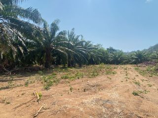 For sale land in Mueang Phuket, Phuket