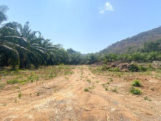 For sale land in Mueang Phuket, Phuket