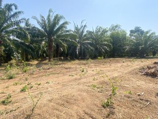 For sale land in Mueang Phuket, Phuket