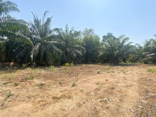 For sale land in Mueang Phuket, Phuket