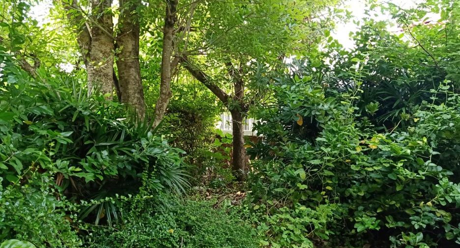 Haus zum Kauf mit 4 Zimmer in Bang Bua Thong, Nonthaburi