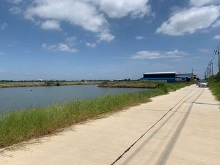 For sale land in Phra Samut Chedi, Samut Prakan
